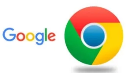 Chrome - Google 浏览器
